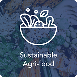 Sustainable Agri-food