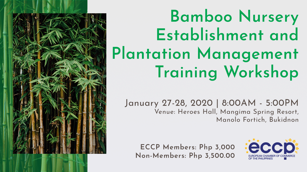 bamboo-nursery-establishment-and-plantation-management-training-workshop