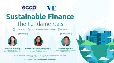 Sustainable Finance - The Fundamentals