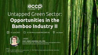 Untapped Green Sector: Opportunities in the Bamboo Industry II