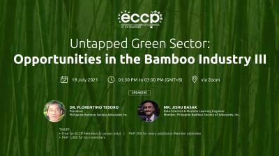 Untapped Green Sector: Opportunities in the Bamboo Industry III