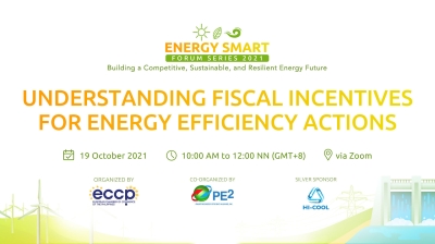 Understanding Fiscal Incentives for Energy Efficiency Actions