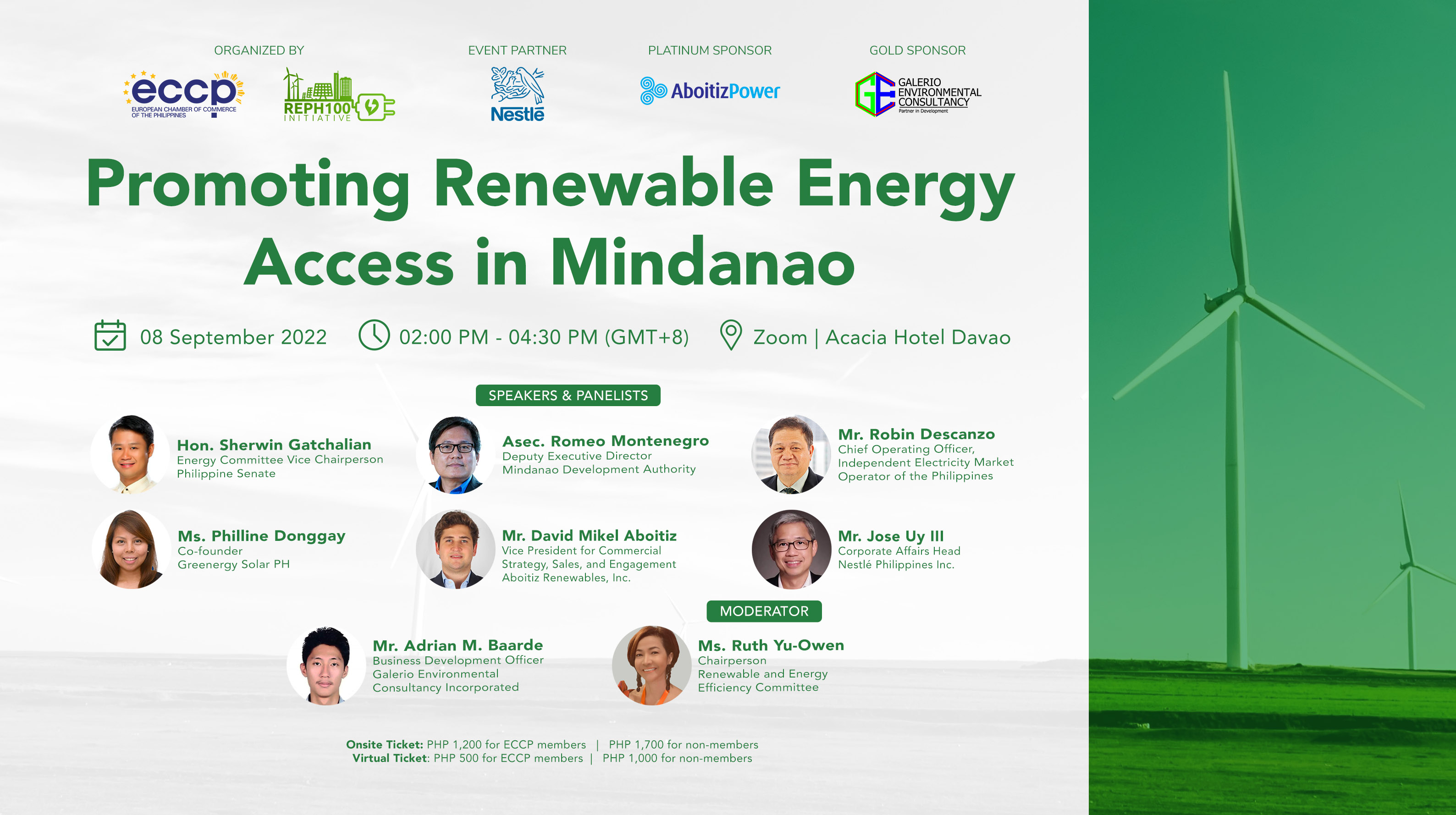 renewable energy in the philippines essay